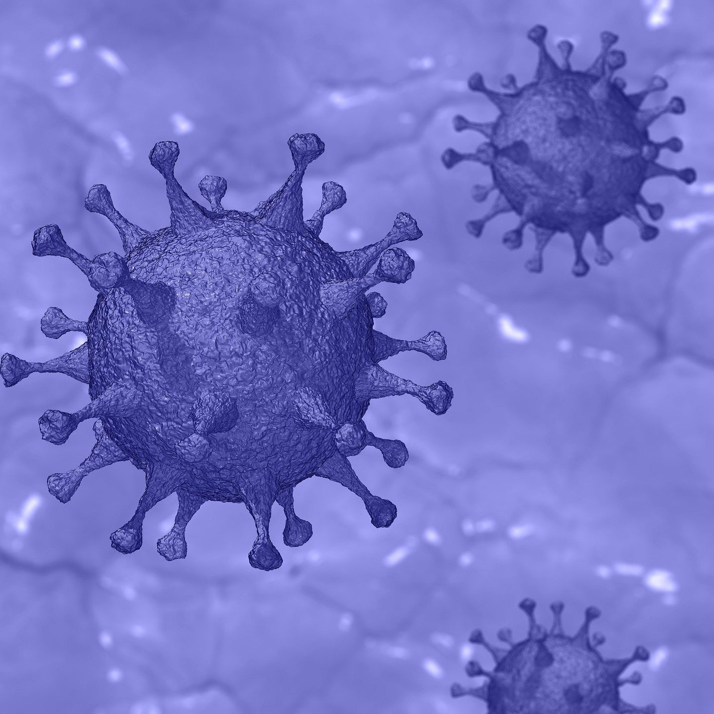 Coronavirus (Covid-19)